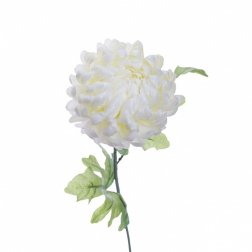 Хризантема белая 63 см (24)