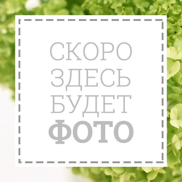 50 ВЫВОД Часы настенные